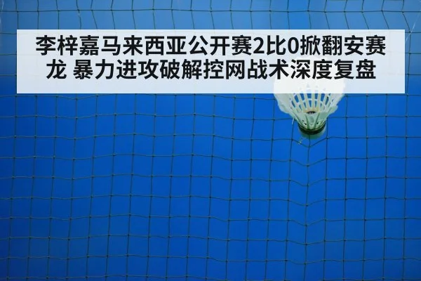 badminton net play
